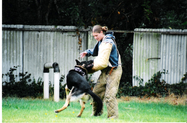 In loving memory of K9 Boss, Fairfax PD