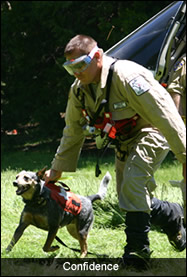 CA Rescue Dog Assoc visit their site