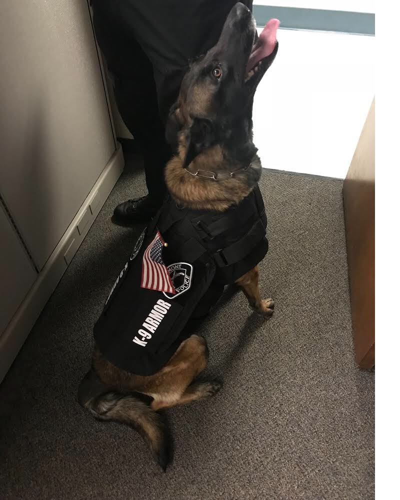 Smiles from Claremont PD K9 Luther