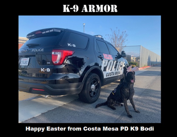 Thanks to donations at the OCPCA K9 Benefit Show to protect Costa Mesa PD K9 Aran and Bodi