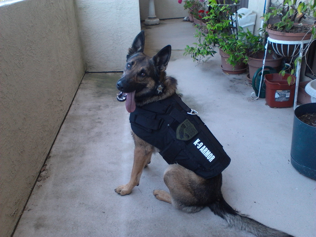 California Fish and Game K9 Kilo