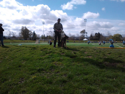 Click for large image CA DFG K9 Kilo