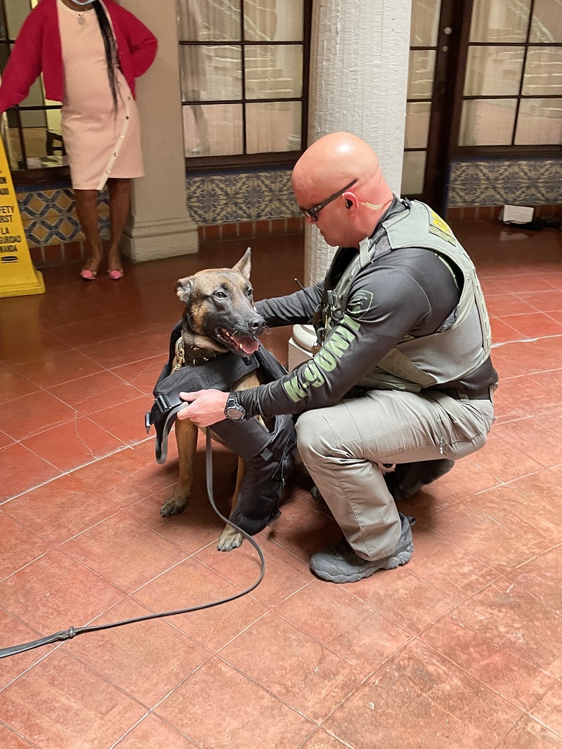 State Hospital Patton Police K9 Nico and Officer Jessup putting on his K9 Armor vest