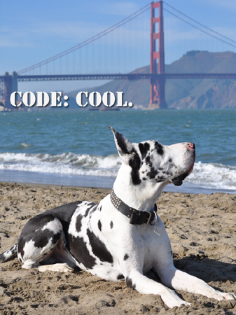 Visit K-9 Unit SF web site