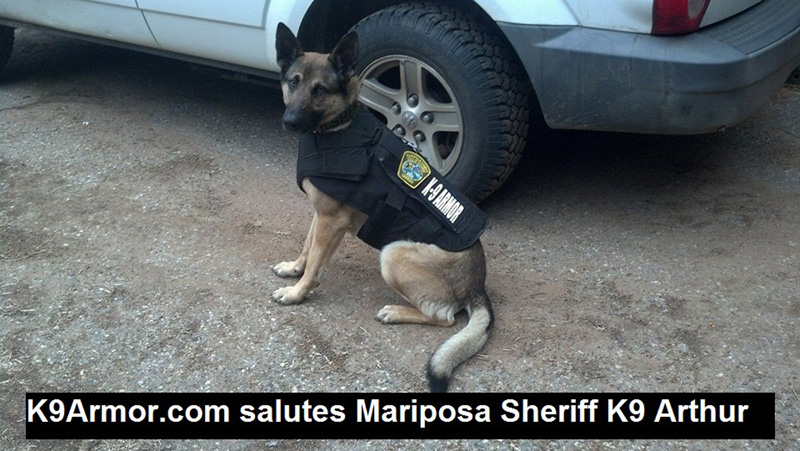 Mariposa County Sheriff's Dept. K9 Arthur
