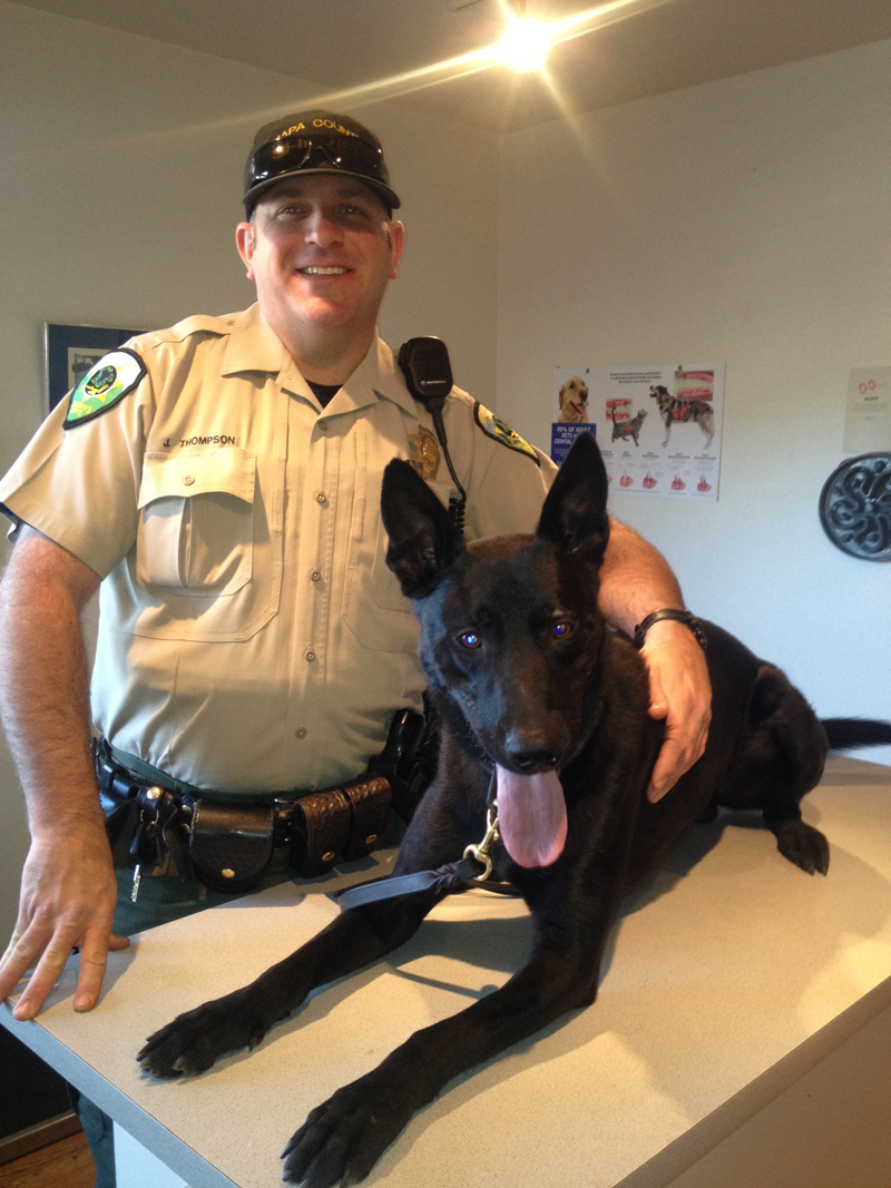Napa County Sheriff K9 Nash and Deputy Thompson