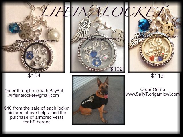 Order on www.SallyT.origamiowl.com