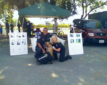 Click for large image of Sabre, Richmond PD getting his K-9 Armor vest