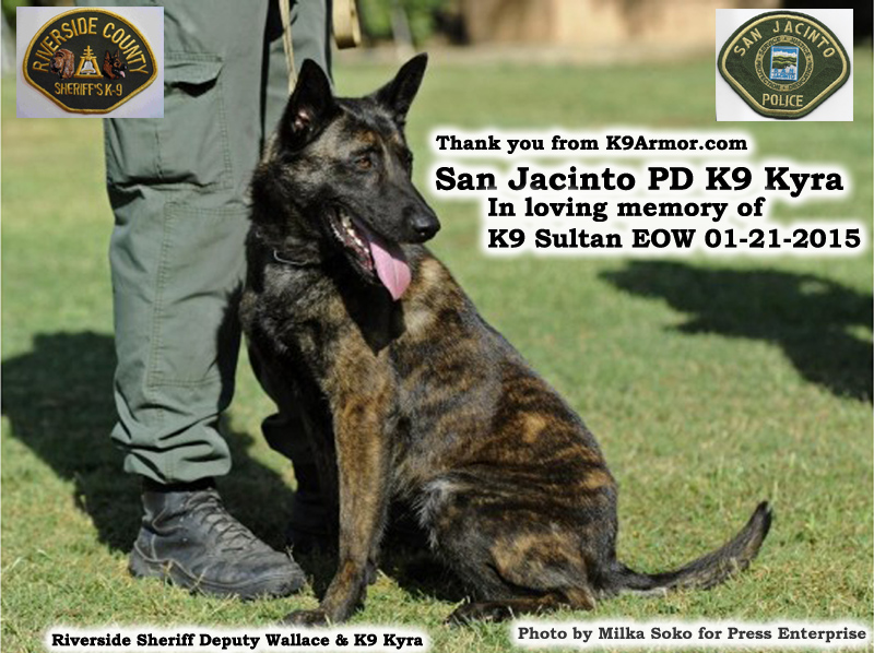 K9 Armor is honored to protect San Jacinto PD K9 Kyra