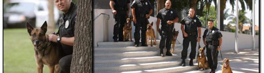 Click here to visit the Santa Ana Police Foundation on Facebook