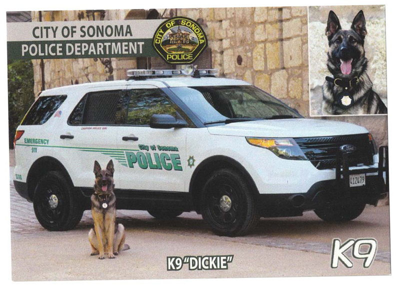 Sonoma PD K9 Dickie