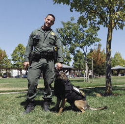 Sonoma Sheriff Deputy Negri and K9 Scout