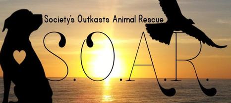 SOAR Animal Rescue